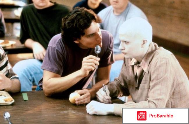 Пудра фильм 