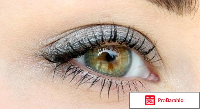 Feg отрицательные отзывы