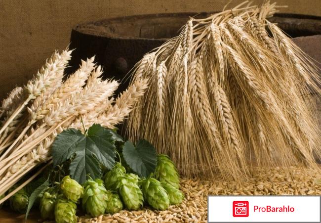 Дрожжи для набора веса отзывы для женщин отрицательные отзывы