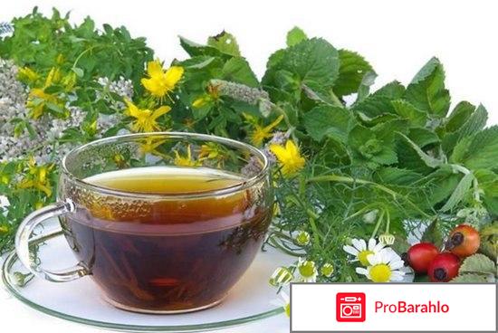 Чай с фенхелем для новорожденных отрицательные отзывы