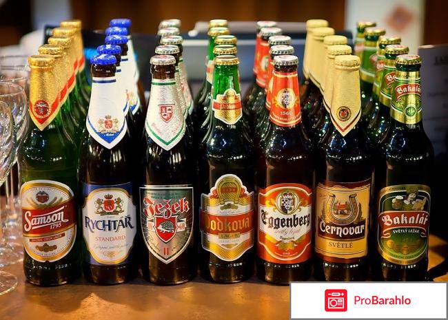 Чешское пиво отрицательные отзывы