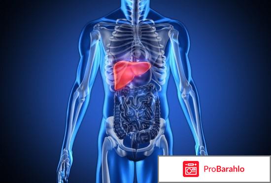 Гепа мерц инструкция и отзывы отзывы владельцев