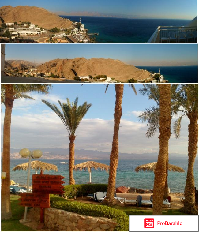 Отель хилтон обман