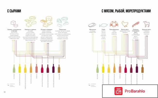 Вино. Практический путеводитель отрицательные отзывы