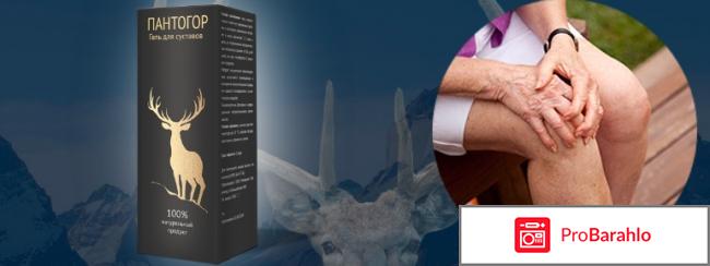 Пантогор гель для суставов состав цена 