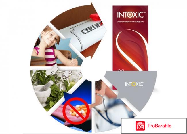 Intoxic цена отрицательные отзывы