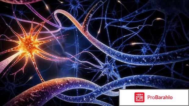 Нервная система человека отрицательные отзывы