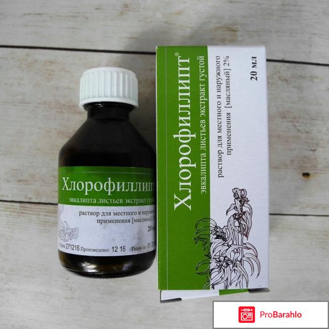Хлорофиллипт масляный отзывы обман