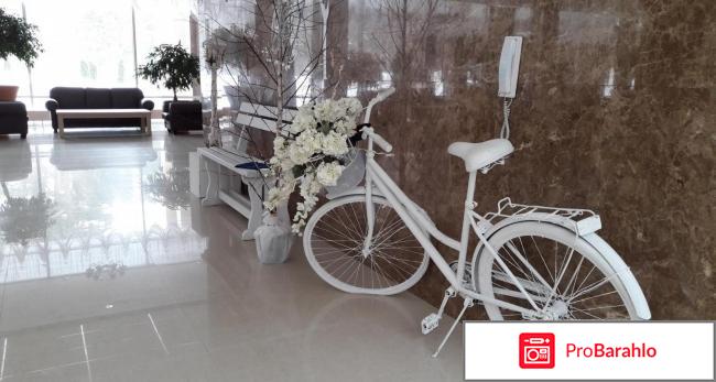 Лесные дали пансионат отрицательные отзывы