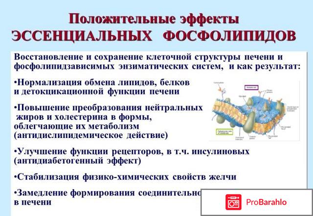 ЦЕНА ЭССЕНЦИАЛЕ: Эссенциале-форте Н капс обман