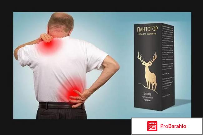 Пантогор официальный сайт заказать отрицательные отзывы