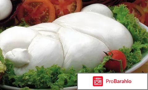 Сыр моцарелла обман