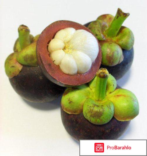 Мангустин напиток сухой быстрорастворимый отзывы отрицательные отзывы