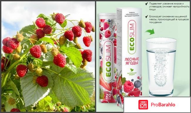 Недорогие эффективные таблетки для похудения 