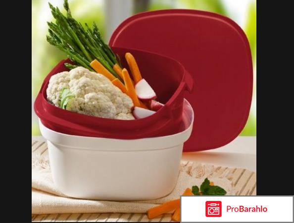 Термосервирователь фото отрицательные отзывы