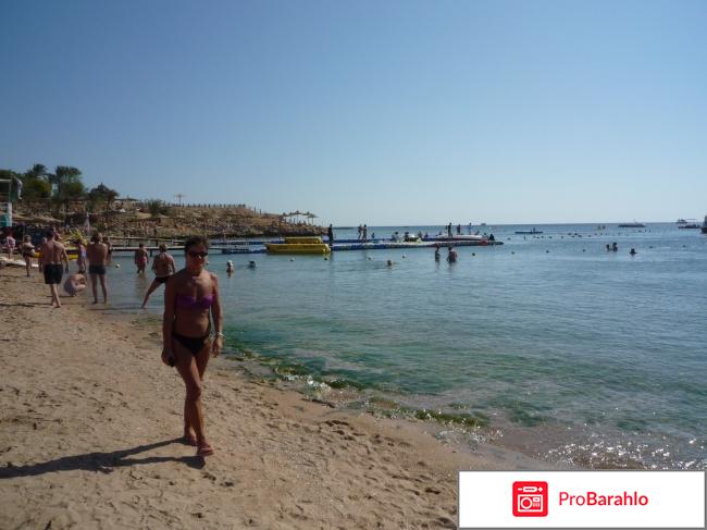 GAFY RESORT отзывы владельцев