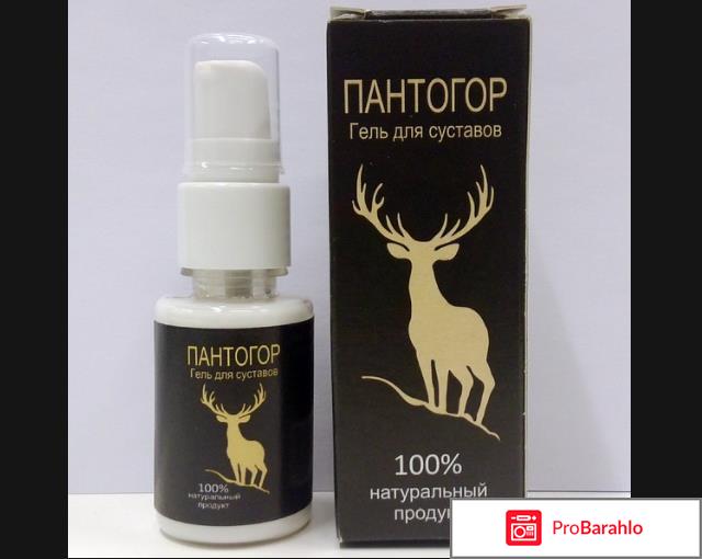 Пантогор официальный сайт заказать 