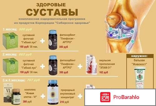 Сибирское здоровье корпорация 