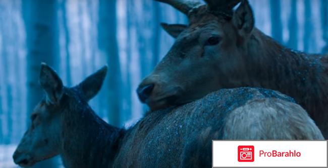 Фильм о теле и душе отзывы отрицательные отзывы