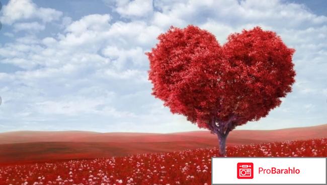 Корвалол инструкция по применению фото