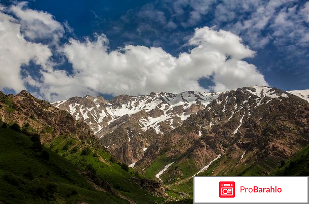 Отдых в горах Чимгана. обман