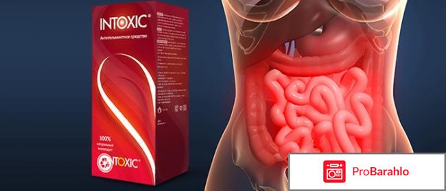 Intoxic инструкция состав реальные отзывы