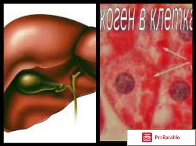 Роль гликогена в организме спортсмена отрицательные отзывы