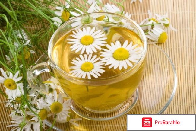 Осветление волос ромашкой отзывы обман