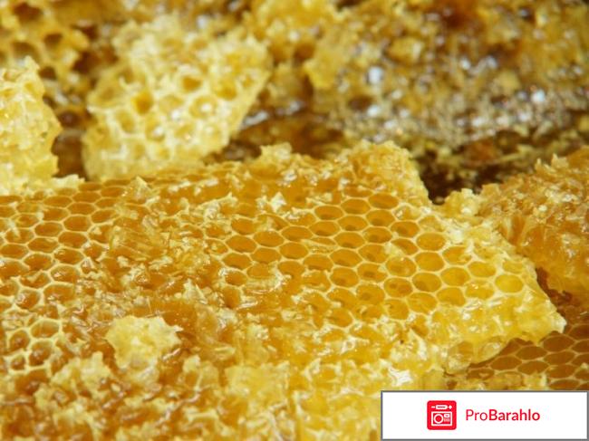 Медовая диета отзывы обман