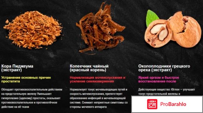 Пиджеум развод лохов отрицательные отзывы