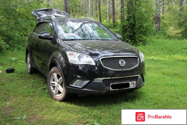 Отзывы владельцев саньенг актион 