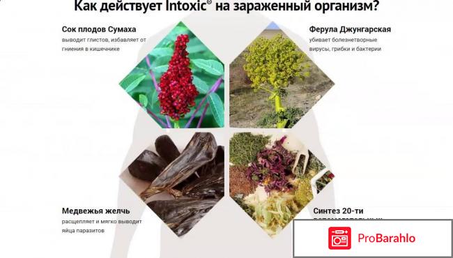 Intoxic купить в аптеке цена обман