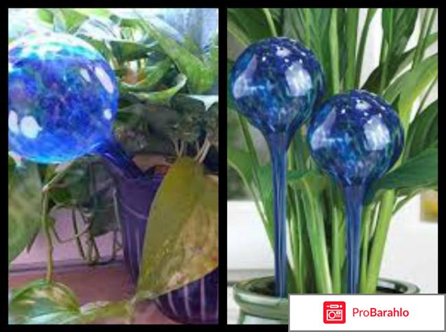 Шар для полива растений Smile WS 104 отрицательные отзывы