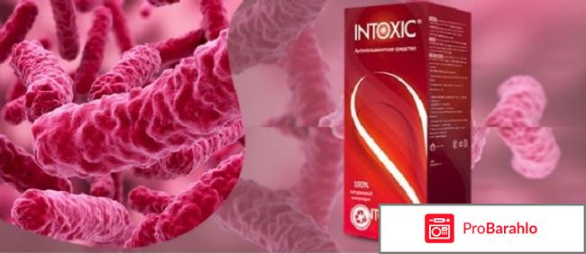 Препарат intoxic реальные отзывы врачей реальные отзывы
