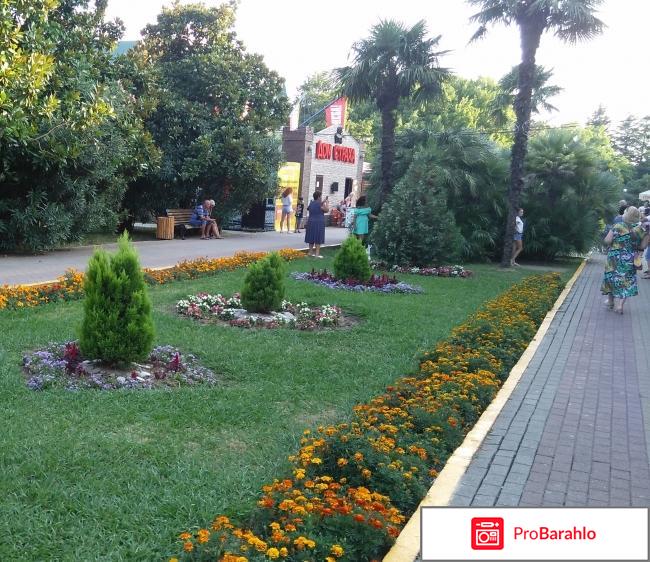 Отдых в лазаревском 2016 форум фото