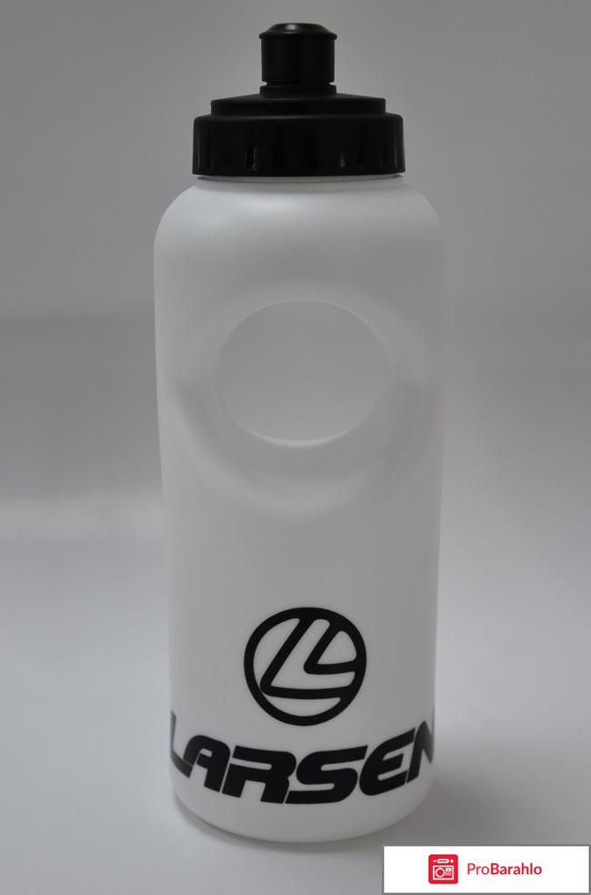Бутылка для воды Larsen H23PE-600.02 