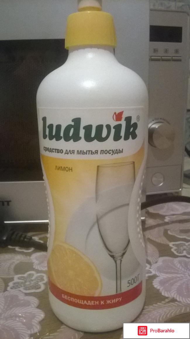 LudwiR - средство длямытья посуды 