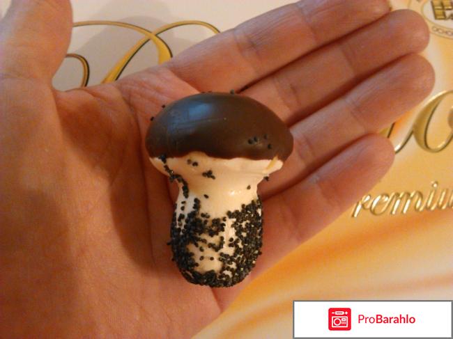 Boletto Premium конфеты ручной работы фабрики Акконд 