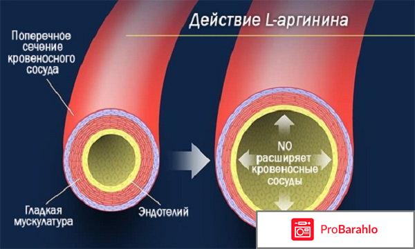 Серебряная лиса отзывы женщин реальные отрицательные отзывы