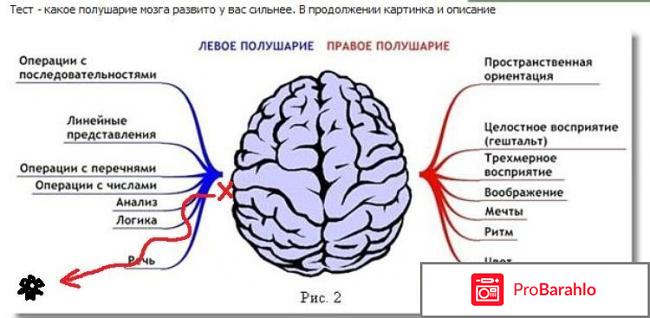 Как развить способности мозга 