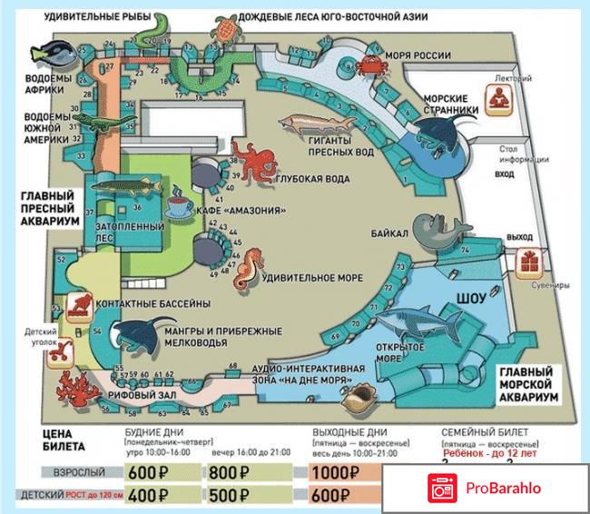 Океанариум на вднх график работы цены отрицательные отзывы