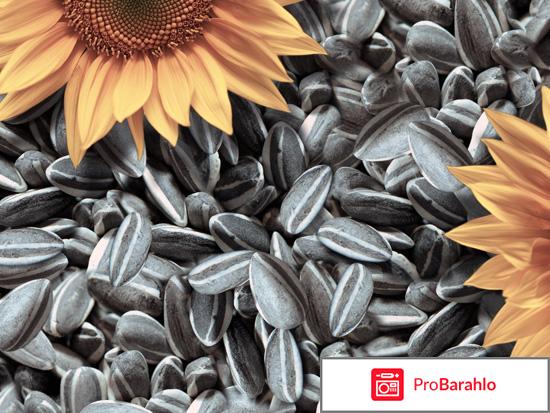 Семечки для похудения - сколько и каких можно для фигуры 