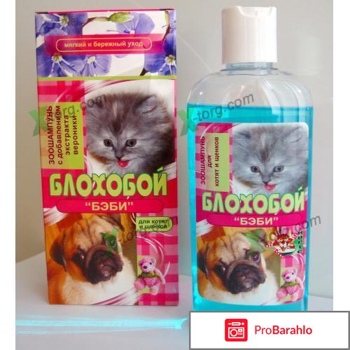 Шампунь блохобой отзывы 