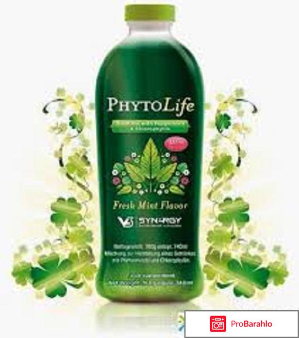 Phytolife от гипертонии, ФитоЛайф 