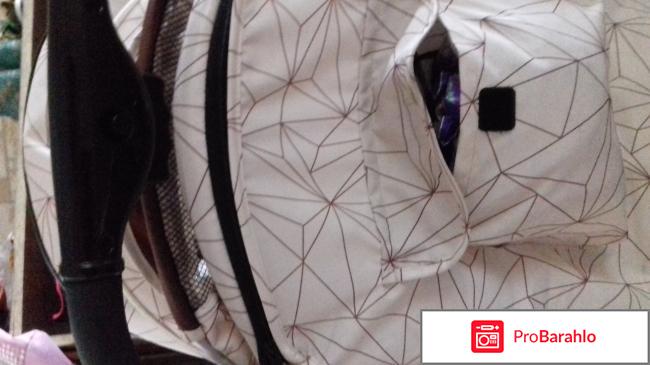 Rant отзывы владельцев