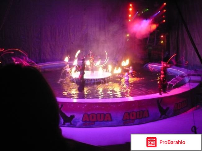 Московский цирк на воде Aqua show обман