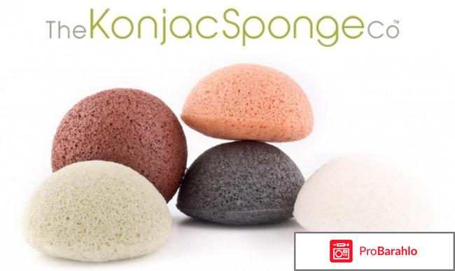 Спонж конняку Спонж конняку для лица The Konjac Sponge Company отрицательные отзывы