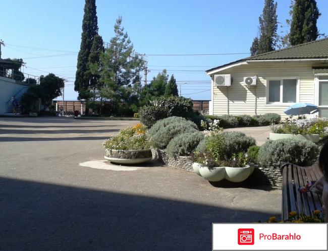 Отдых в шепси отрицательные отзывы