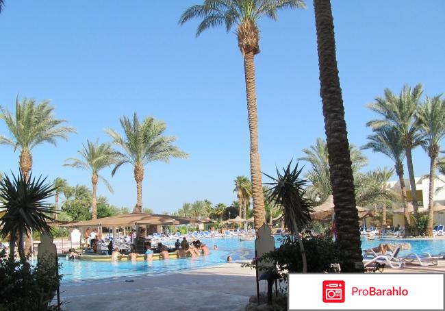 Султан бич 4 хургада отрицательные отзывы