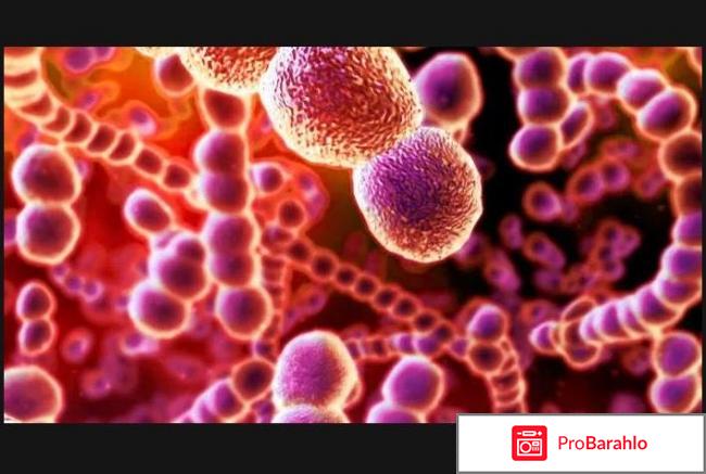 Нейрин отрицательные отзывы